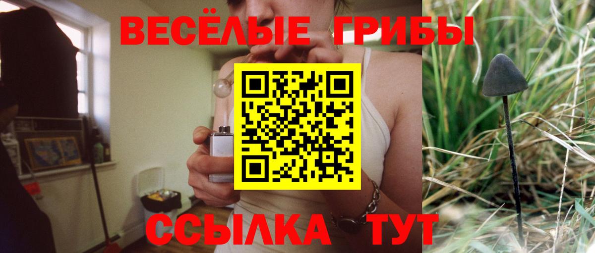 Зеленокумск  Галлюциногенные грибы Psilocybine cubensis  Псилоцибиновые грибы Psilocybine cubensis  Вход с VPN 